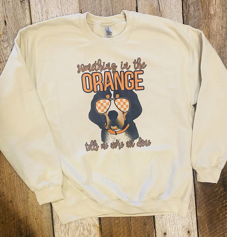 Something In the Orange SweatShirt